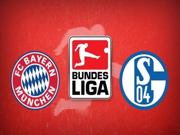 Dự đoán Bayern Munich vs Schalke
