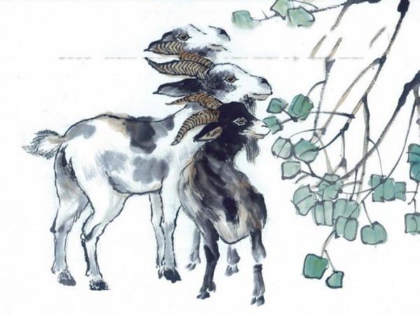 Vài nét về tuổi Quý Mùi hôm nay ngày 16/4/2025 thứ 4