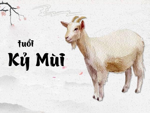 Tổng quan về người tuổi Kỷ Mùi ngày 29/5/2025 thứ 5 hôm nay