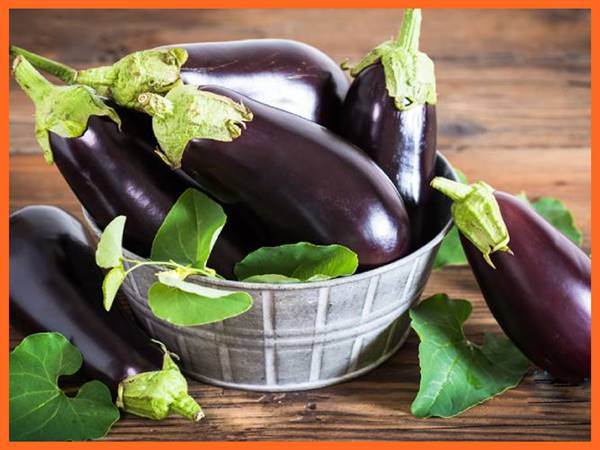 Tổng hợp những tình huống mơ thấy quả cà và diễn giải chi tiết