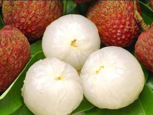 Mơ thấy quả vải rơi xuống đất