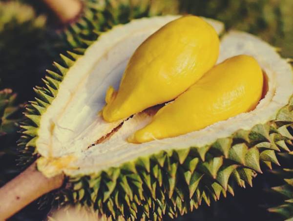 Mơ thấy quả sầu riêng: Tài lộc hay cảnh báo khó khăn?