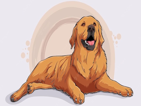 Con số may mắn tuổi Tuất 27/9/2025 mang vận may ập tới