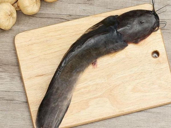 Nằm mơ thấy cá trê đen là điềm gì, con gì lộc lá?