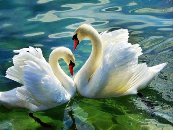 Biểu tượng của sự chuyển hóa và phát triển Biểu tượng của sự chuyển hóa và phát triển