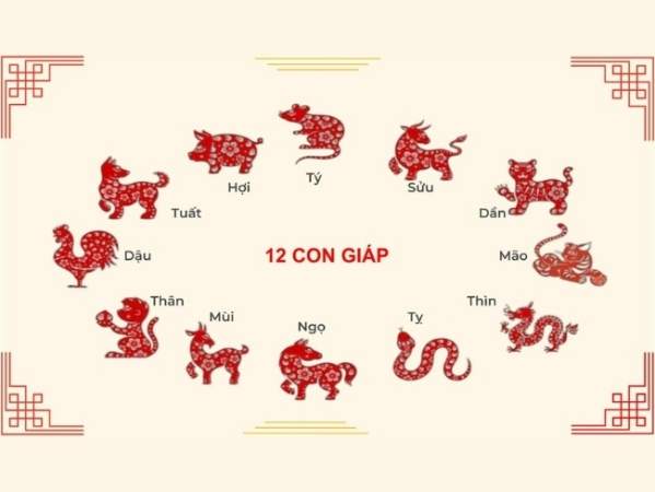 Cách nhiều người tra cứu số đề con vật hiện nay